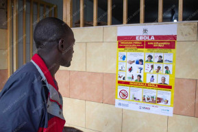 Ebola-vészhelyzetet hirdetett a WHO, hantavírus miatt is figyelmeztetnek