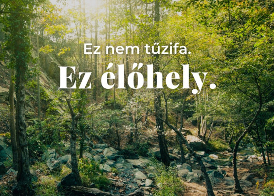 A magyarok többsége elutasítja a tűzifa-rendeletet