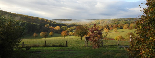 Mi lesz veled, Gyűrűfű?