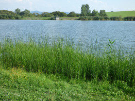 Kitiltották a horgászokat, luxusberuházást készítenek elő a pilisi tó partján