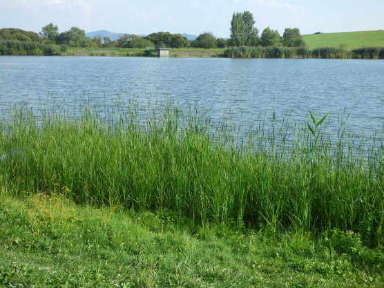 Kitiltották a horgászokat, luxusberuházást készítenek elő a pilisi tó partján