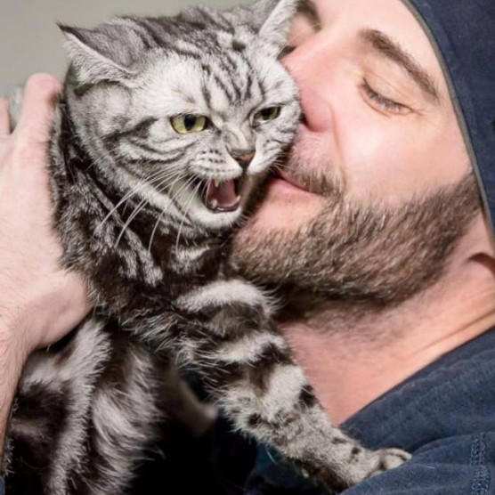 Meghalt Homonnay Gergely