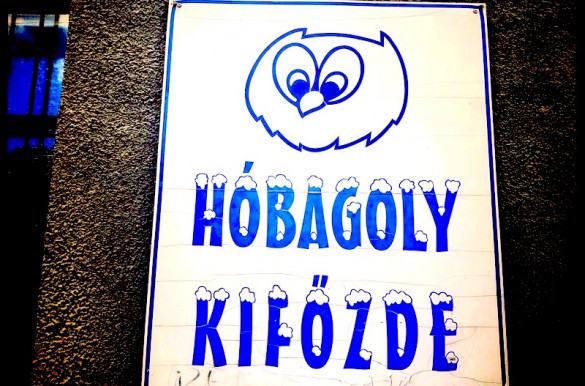 Választás kérdése - Dési János jegyzete