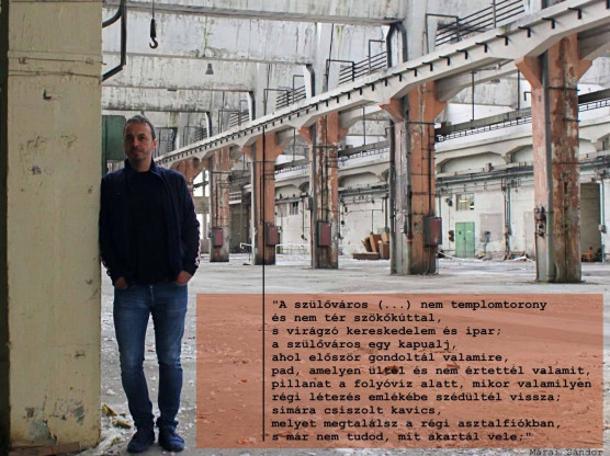 Lemondott Szigetszentmiklós DK-s alpolgármestere