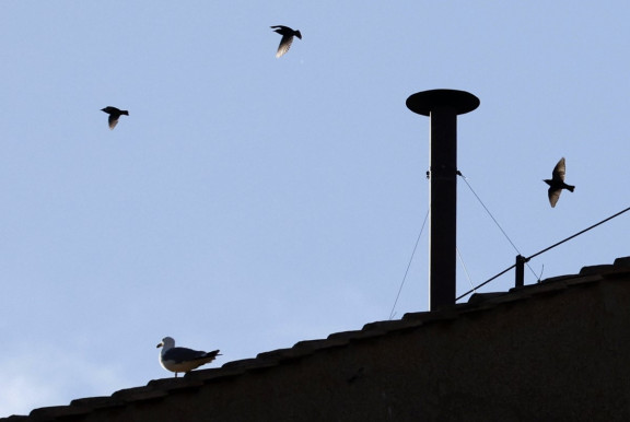 Perintfalvi: Erdő Péternek 2013-ban sokkal több esélye volt