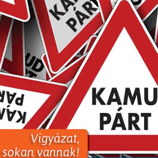 38 párt áll végelszámolás alatt, de így is 145 formációból szemezgethet a magyar választó