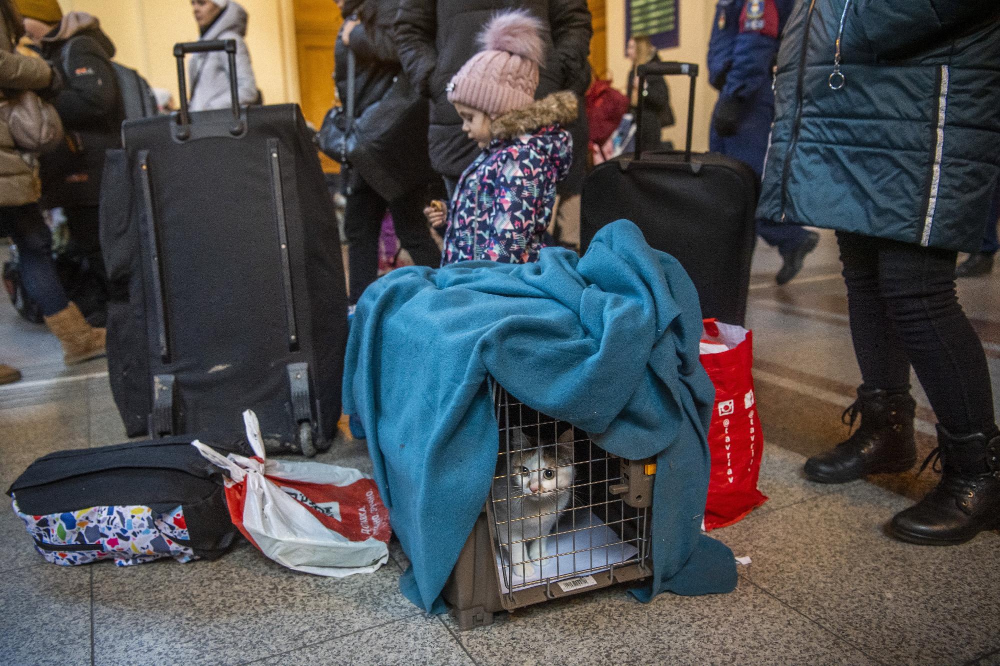 Ukrajnai háború - Menekülők a Keleti pályaudvaron 