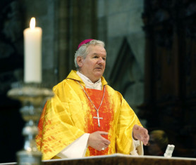 Rendelettel lépett át a kormány a szegedi önkormányzaton, hogy az egyház kivághasson egy erdőt a püspök stadionja mellett