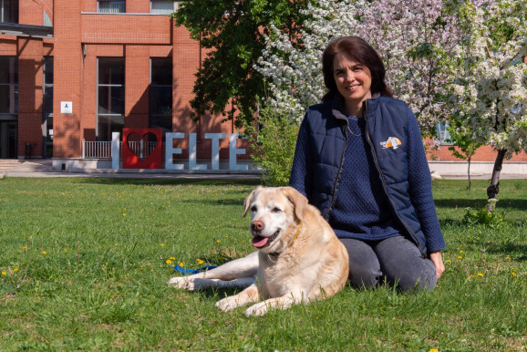 Ha valami kiszagolható, akkor azt a kutyák ki fogják szagolni – a koronavírus-fertőzötteket is