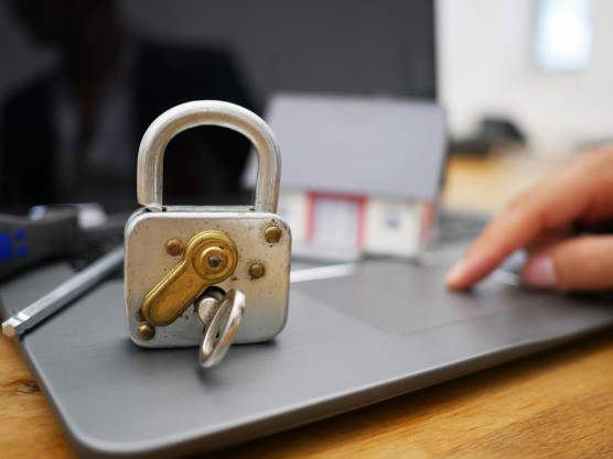 Nyolcszemközt a számerdőben