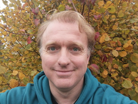 Lackfi János: A bolygó hollandi Budapesten