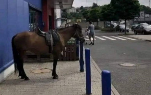 A következő benzinkúton vajon lesz-e üzemanyag?