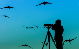 Civilekről nem csak civileknek