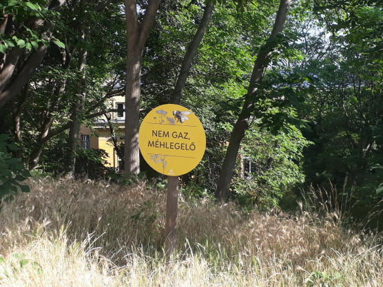 Higgadt posztban égette le a fidelitasosokat a FŐKERT