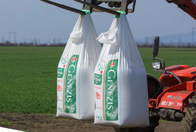 Az állam lenyúlhatja Bige műtrágyagyárát