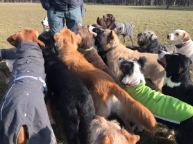 A kincses sziget – petíció az Óbudai-szigetért