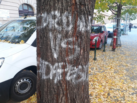 Medián: Budapesten fölényesen vezet az ellenzék