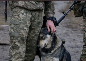 9 ezer halott is lehet a Mariupol közeli tömegsírban