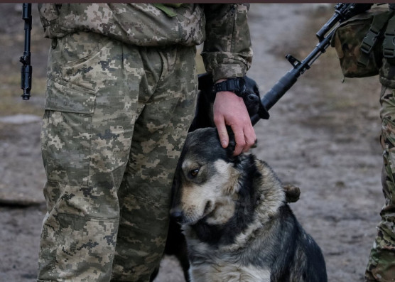 9 ezer halott is lehet a Mariupol közeli tömegsírban