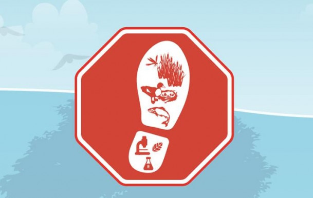 Elképesztő, ami Zamárdiban történik