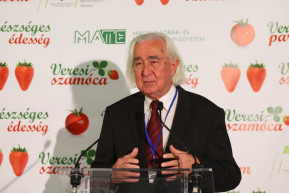 58 év után lemond Veresegyház polgármestere