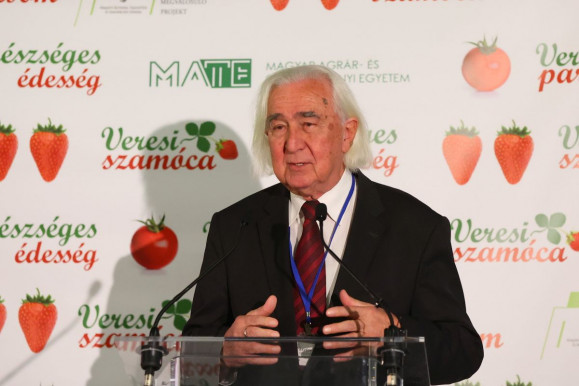 58 év után lemond Veresegyház polgármestere