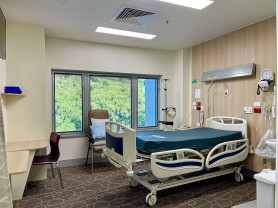 VIP-ellátás – Selmeci János jegyzete