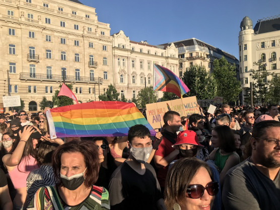 Egy kalap alá veszik a pedofilokat a homoszexuálisokkal