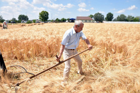 Rusvai Miklós: „Kevés jóra számíthatnak” a 60 feletti oltatlanok