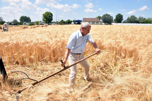 Rusvai Miklós: „Kevés jóra számíthatnak” a 60 feletti oltatlanok