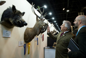 Dorosz Dávid: Ingyenjeggyel és ingyenes utazással mentenék Semjén vadászati kiállítását