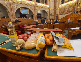 Szabó Tímea bevásárolt egy pedagógus heti pénzéből