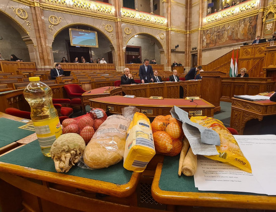 Szabó Tímea bevásárolt egy pedagógus heti pénzéből