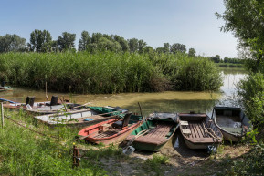 Az erdő nélküli lombkoronasétány után jöhet a víz nélküli őstó?
