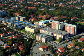 Székesfehérvári kórházigazgató: a magyar krematóriumok három műszakban dolgoznak