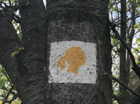 Ha nem hagynak úgy szülni, ahogy szeretnél...