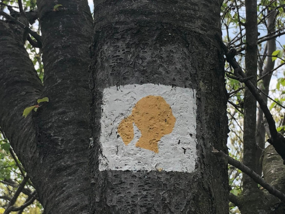 Ha nem hagynak úgy szülni, ahogy szeretnél...