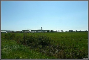 200 millió forint közpénzből építettek 11 kilátót Tyukodon, némelyiket a varjak használják, némelyik elrohadt