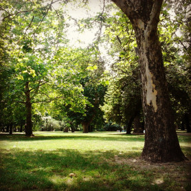 Gyors kordonbontást ígér a főváros a Városligetben húsvét után