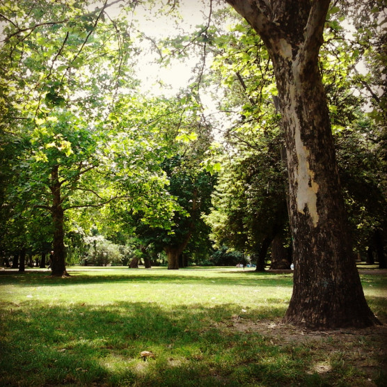 Gyors kordonbontást ígér a főváros a Városligetben húsvét után