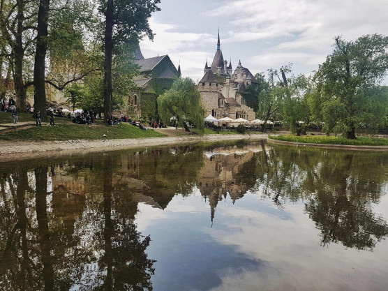 Az összes hal elpusztult a Városligeti-tóban