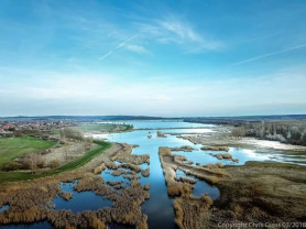 A legújabb éca: tisztított szennyvízzel töltenék fel a Velencei-tavat