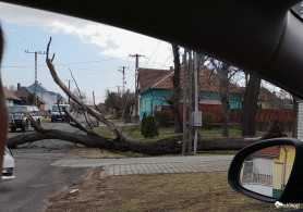 Több mint 500-szor hívták hétfőn a tűzoltókat a vihar miatt