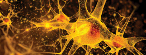 Először adtak be egy kísérleti rákölő vírust egy embernek