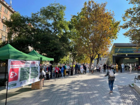 Ilyenek az ellenzéki összefogásra szavazó 90 éves hölgyek – Neuman Gábor jegyzete