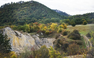 Megvédi Budakeszi az Álomvölgyet?