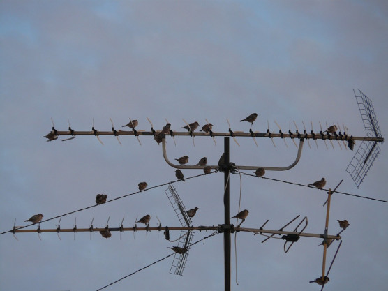 Arató: Jó lenne, ha erőteljes akció nélkül is folytathatná a Klubrádió