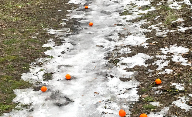 Kalandra fel! - Dési János jegyzete