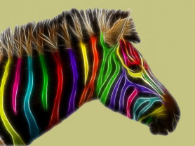 A lényeg a mű-sorok között