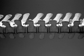 KisPeti műtétje miatt jött haza 